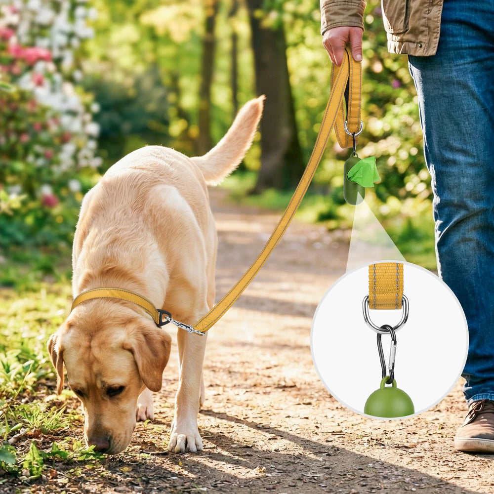 Joytale Dog Lead, Khaki, 1.8m x 2cm