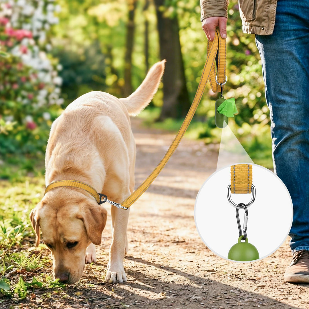 Joytale Dog Lead, Khaki, 1.8m x 2cm