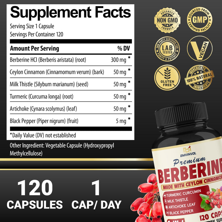 BMVINVOL 6 in 1 Berberine Supplement With Ceylon Cinnamon, Turmeric Root, Milk Thistle, Artichoke And Black Pepper, 120 Count