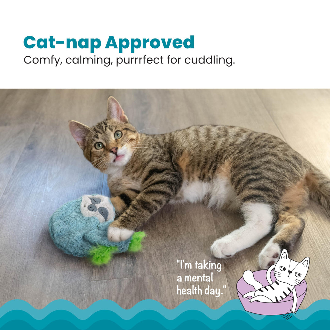 Catstages Purr Pillow Snoozin Sloth Cat Toy, Green