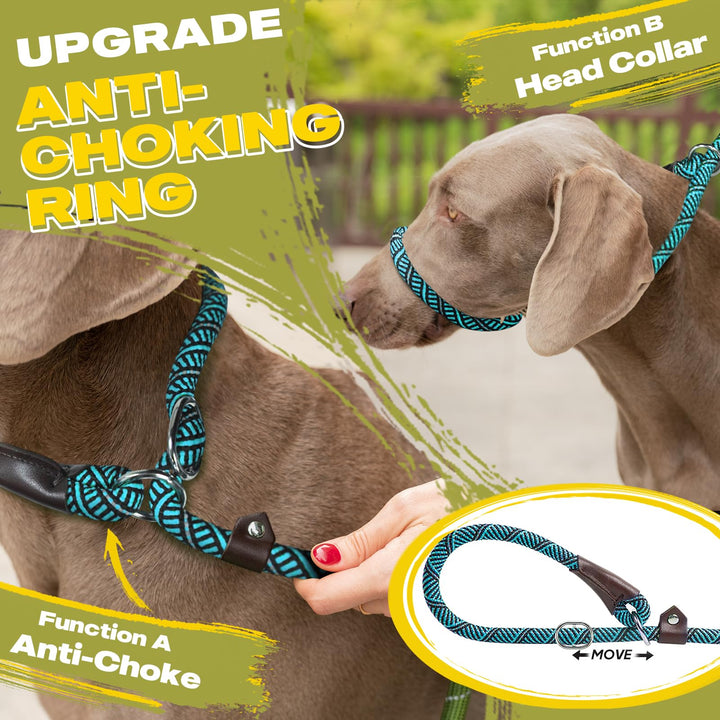 Fida Slip Lead Dog Leash, Blue, 6 ft x 3/8 in
