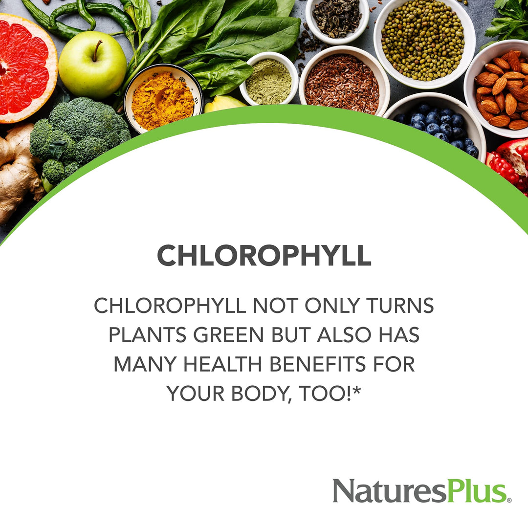 Natures Plus Chlorophyll Capsules, 600 mg, 90 Count