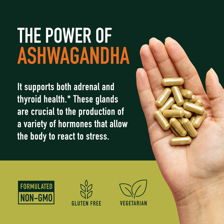 SMNutrition Ashwagandha Root Extract Supplement, 1300 mg, 120 Count