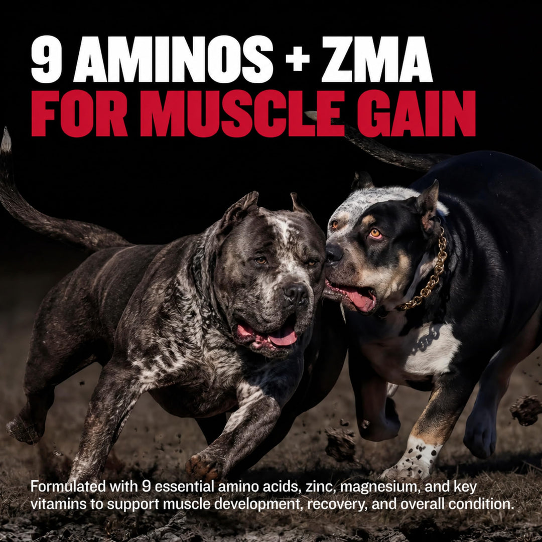 Bully Max Muscle Builder Chewable Tablets, 60 Count
