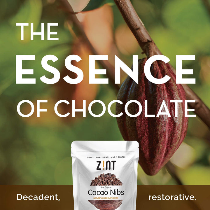 Zint Raw Organic Cacao Nibs, 8 oz