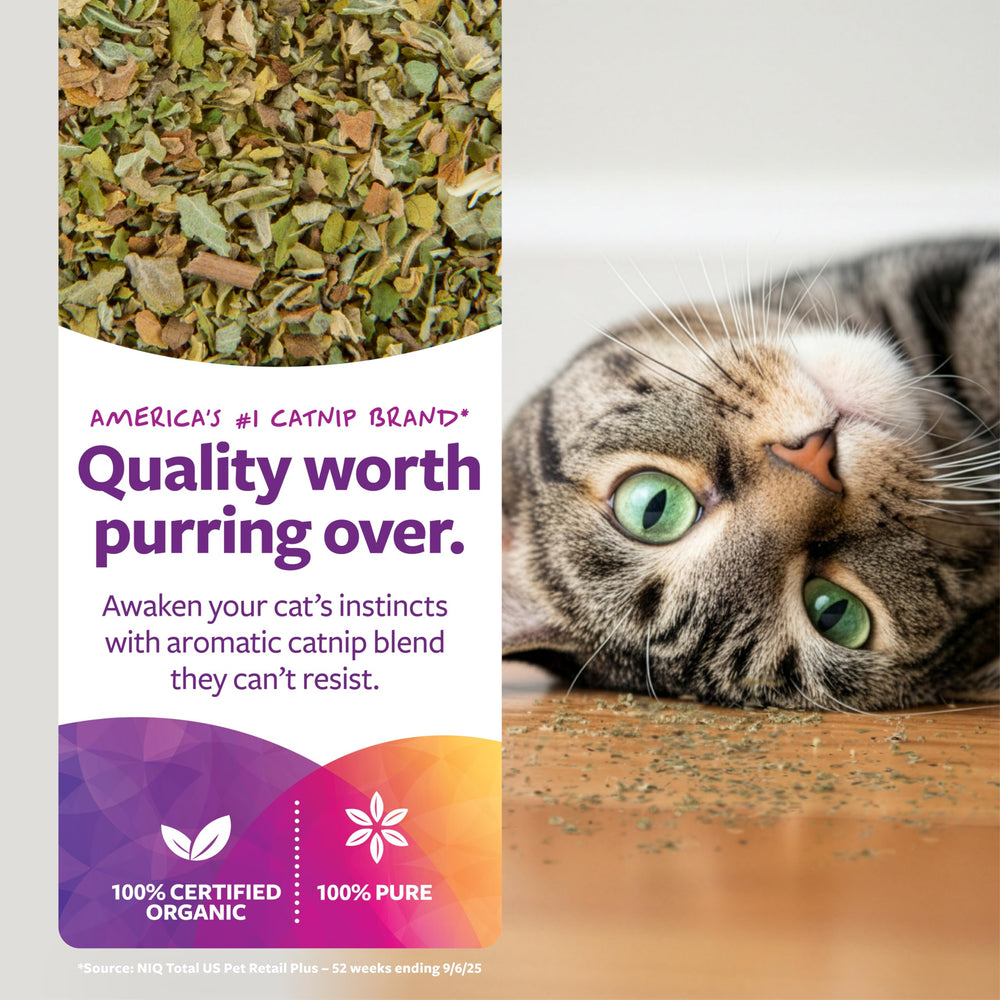 SmartyKat Organic Catnip, 1 oz