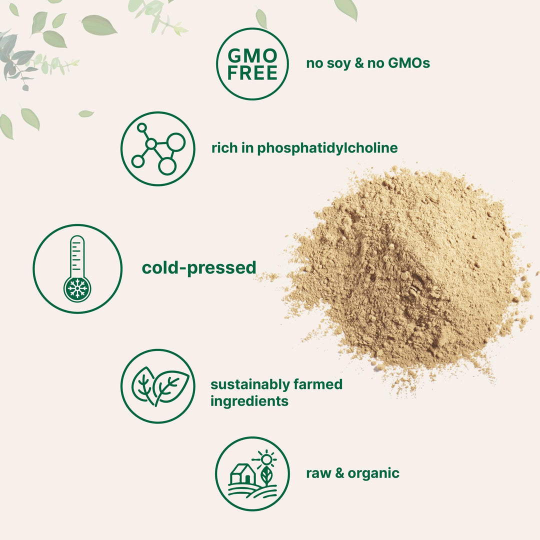 Micro Ingredients Organic Sunflower Lecithin Powder, 1 lb