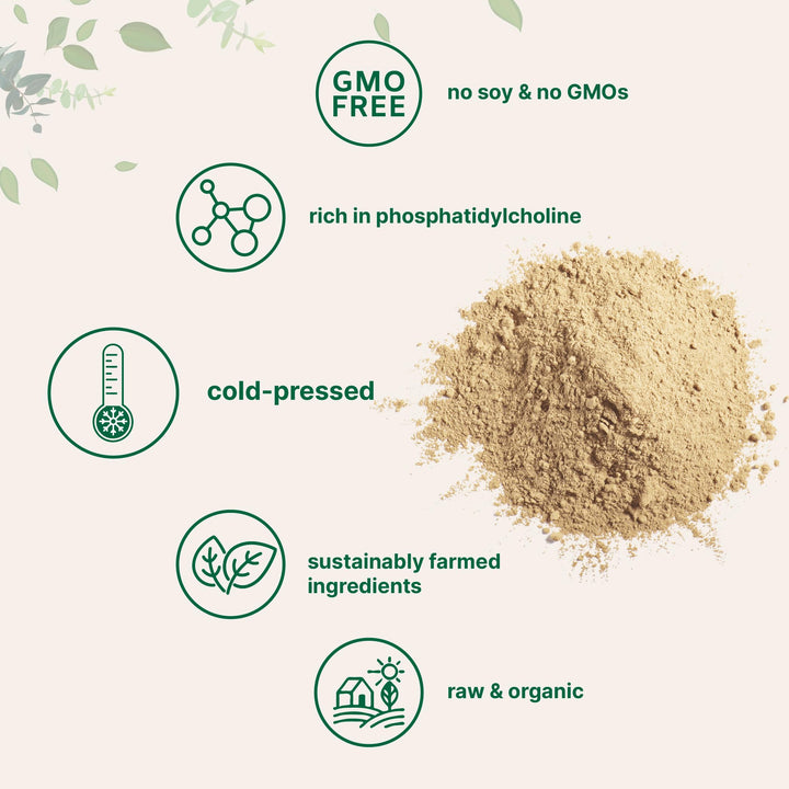 Micro Ingredients Organic Sunflower Lecithin Powder, 1 lb