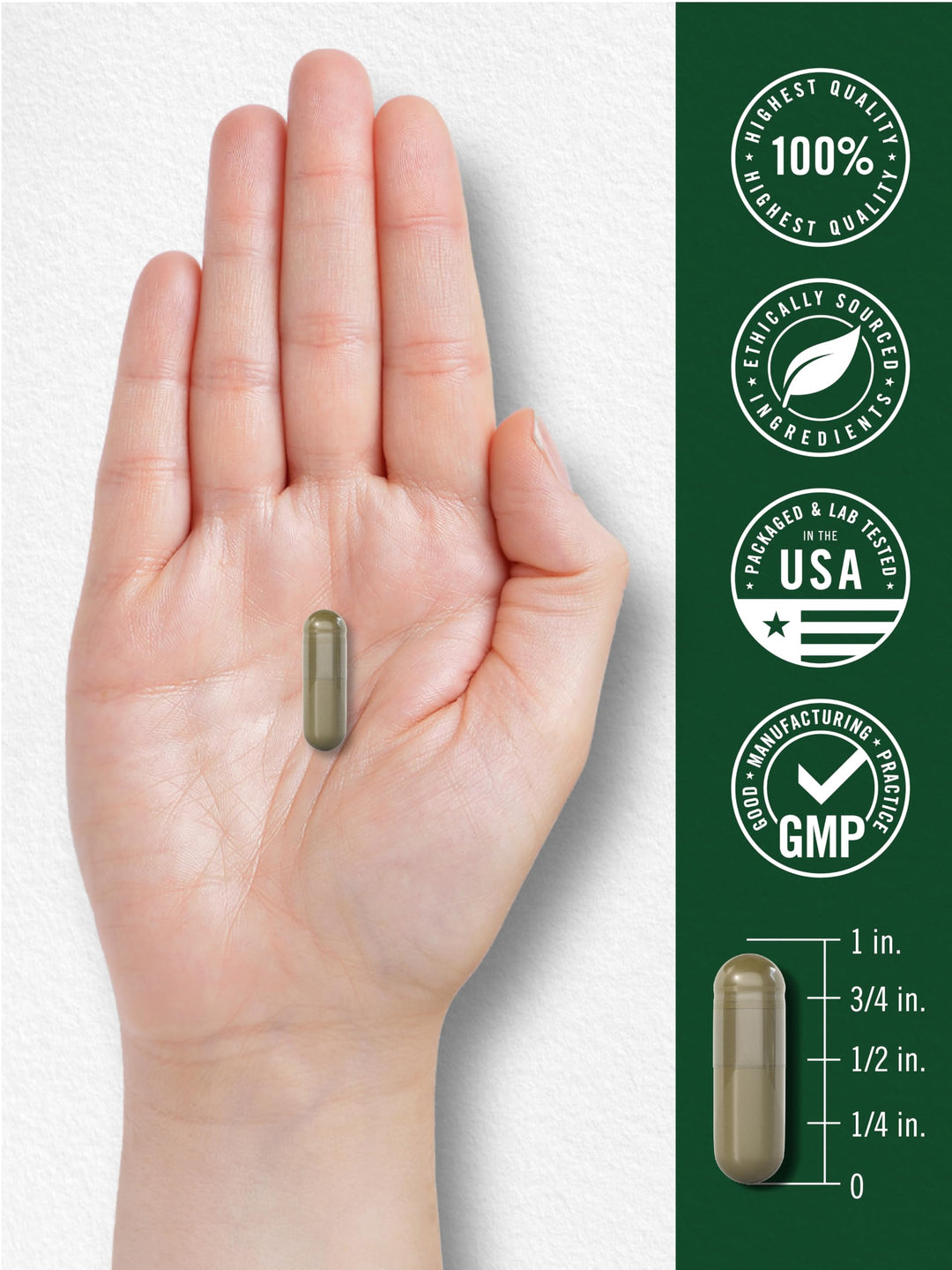 Carlyle Fruits and Veggies Supplement, 250 Count