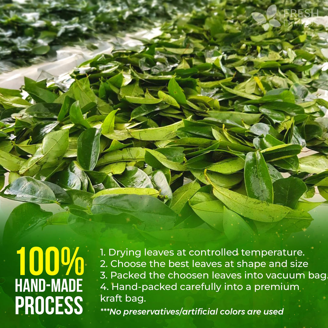 FreshDrinkUS Soursop Tea, Dried Leaf, 120 Count