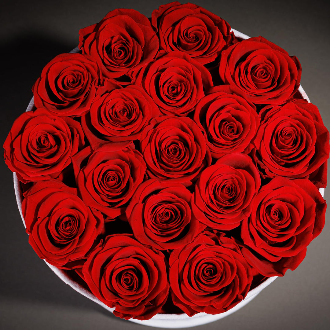Prifroti Forever Preserved Roses, Red, 17 Count