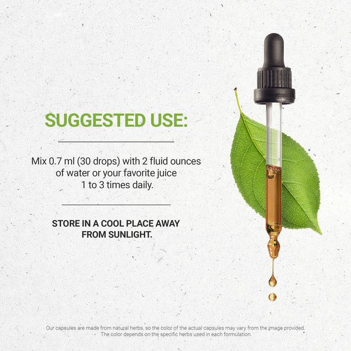 Secrets of the Tribe Chaga Alcohol-Free Extract, Organic, 2 fl oz