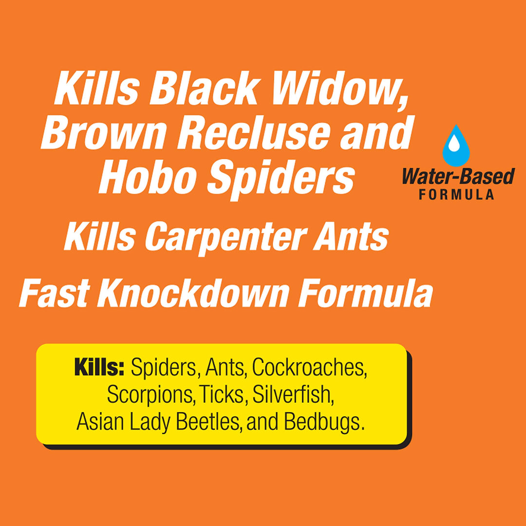 Terro Spider Killer Spray, 6 Count