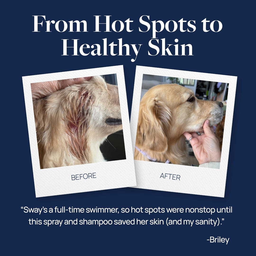 Veterinary Formula Clinical Care Hot Spot & Itch Relief Spray, Dogs & Cats