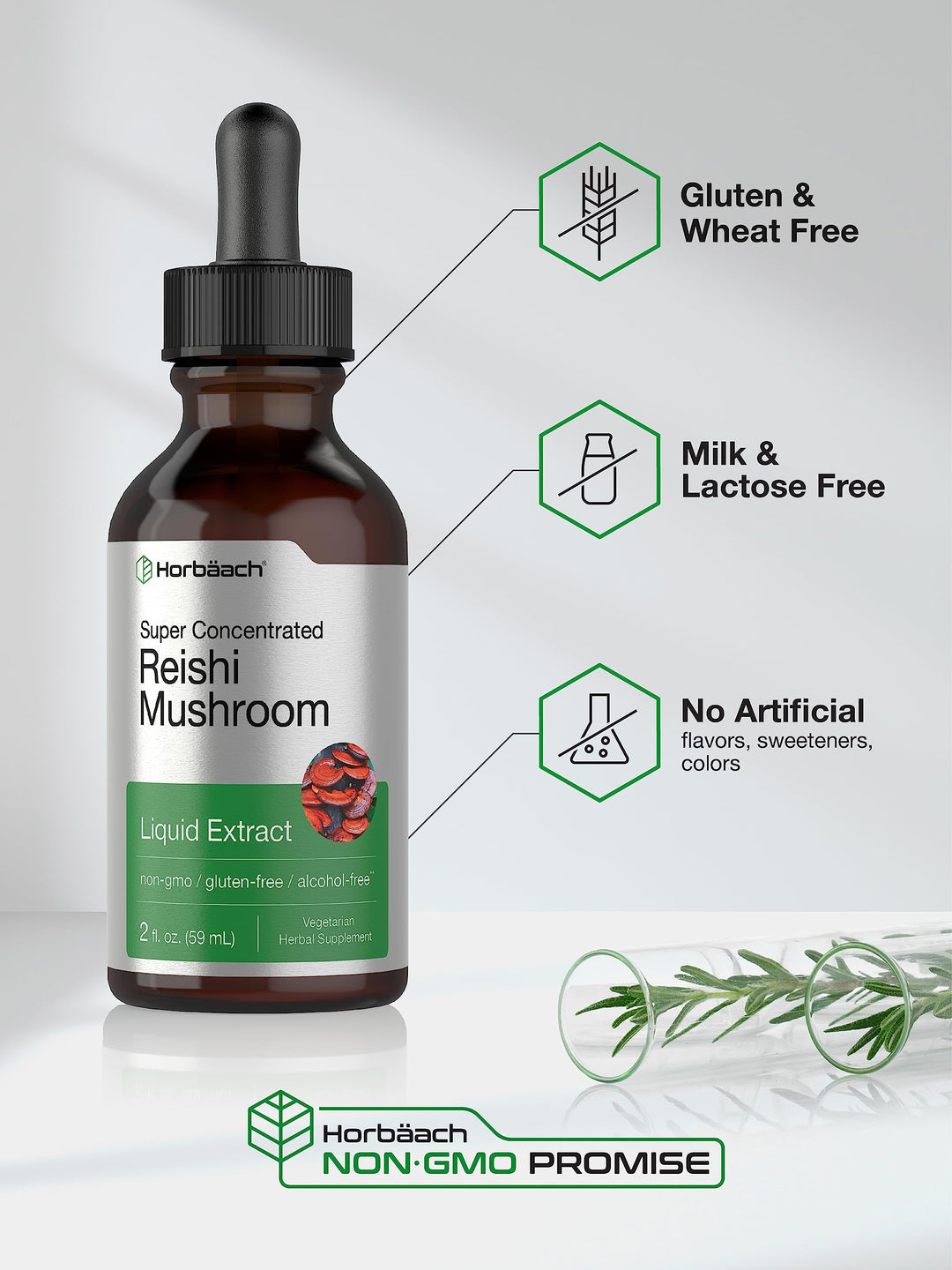 Horbäach Reishi Mushroom Extract Tincture, 2 fl oz