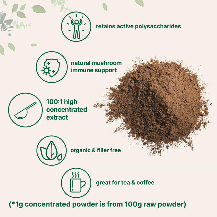 Micro Ingredients Organic Reishi Mushroom Extract Powder, 16 oz