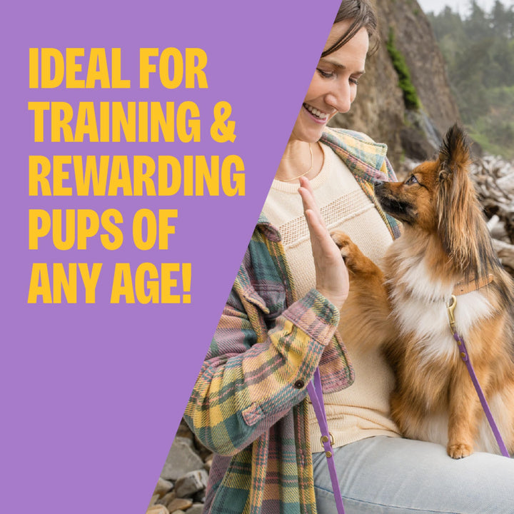 Wellness Natural Pet Food Grain Free Puppy Training Treats