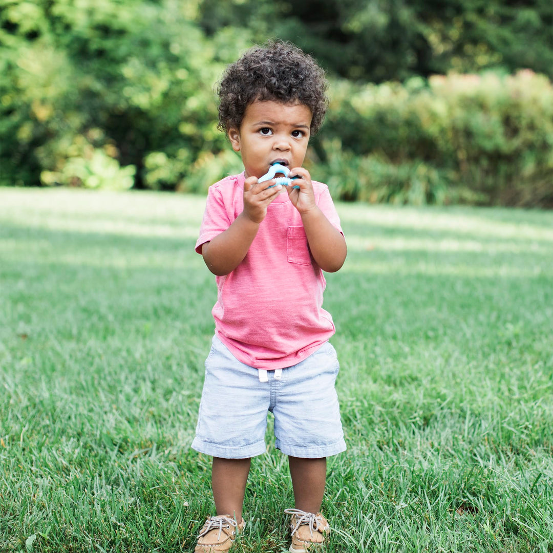 Green Sprouts Silicone Molar Teether, Light Blueberry
