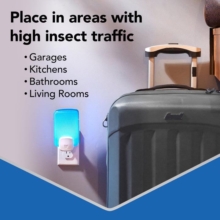 Raid Flying Insect Light Trap Starter Kit, 1 Count