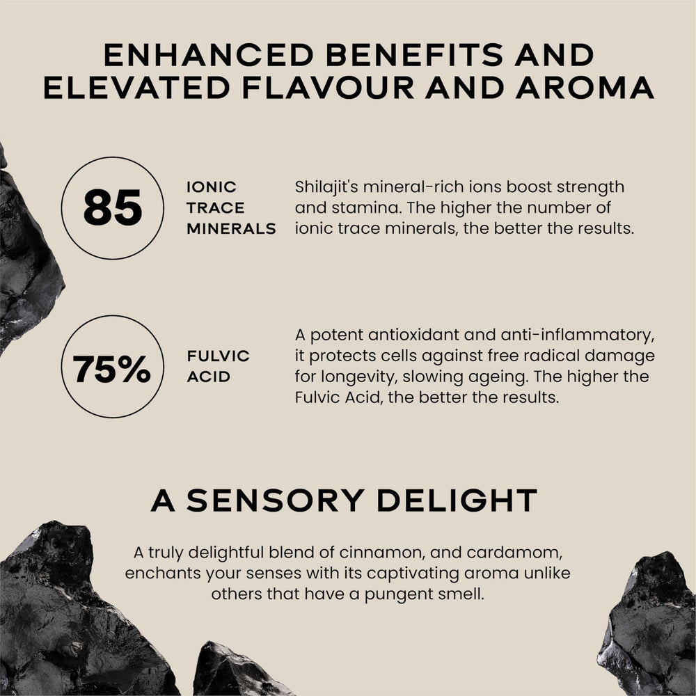 Wellbeing Nutrition Himalayan Shilajit Gold Resin, 24K Gold Leaf