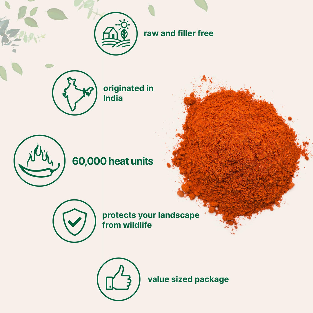 Micro Ingredients Ground Cayenne Pepper Powder, 60,000 SHU, 6 lb