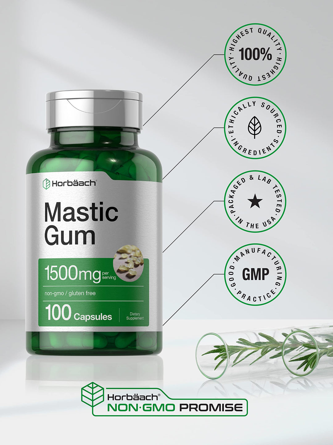 Horbäach Mastic Gum Capsules, 1500 mg, 100 Count