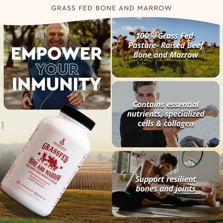 Ancestral Supplements Grass Fed Beef Bone and Marrow Supplement, 180 Count