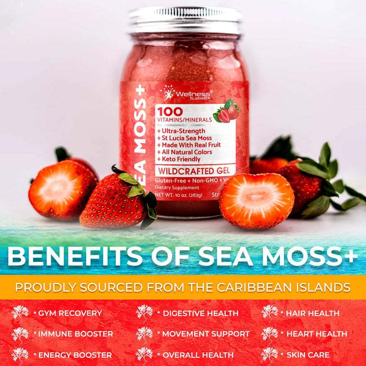WELLNESS LABSRX Sea Moss Gel, Strawberry, 10 oz