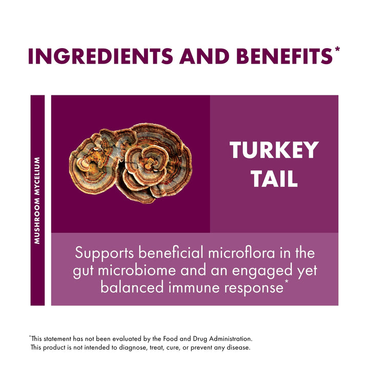 Fungi Perfecti Host Defense Turkey Tail Cellular Support, 60 Count