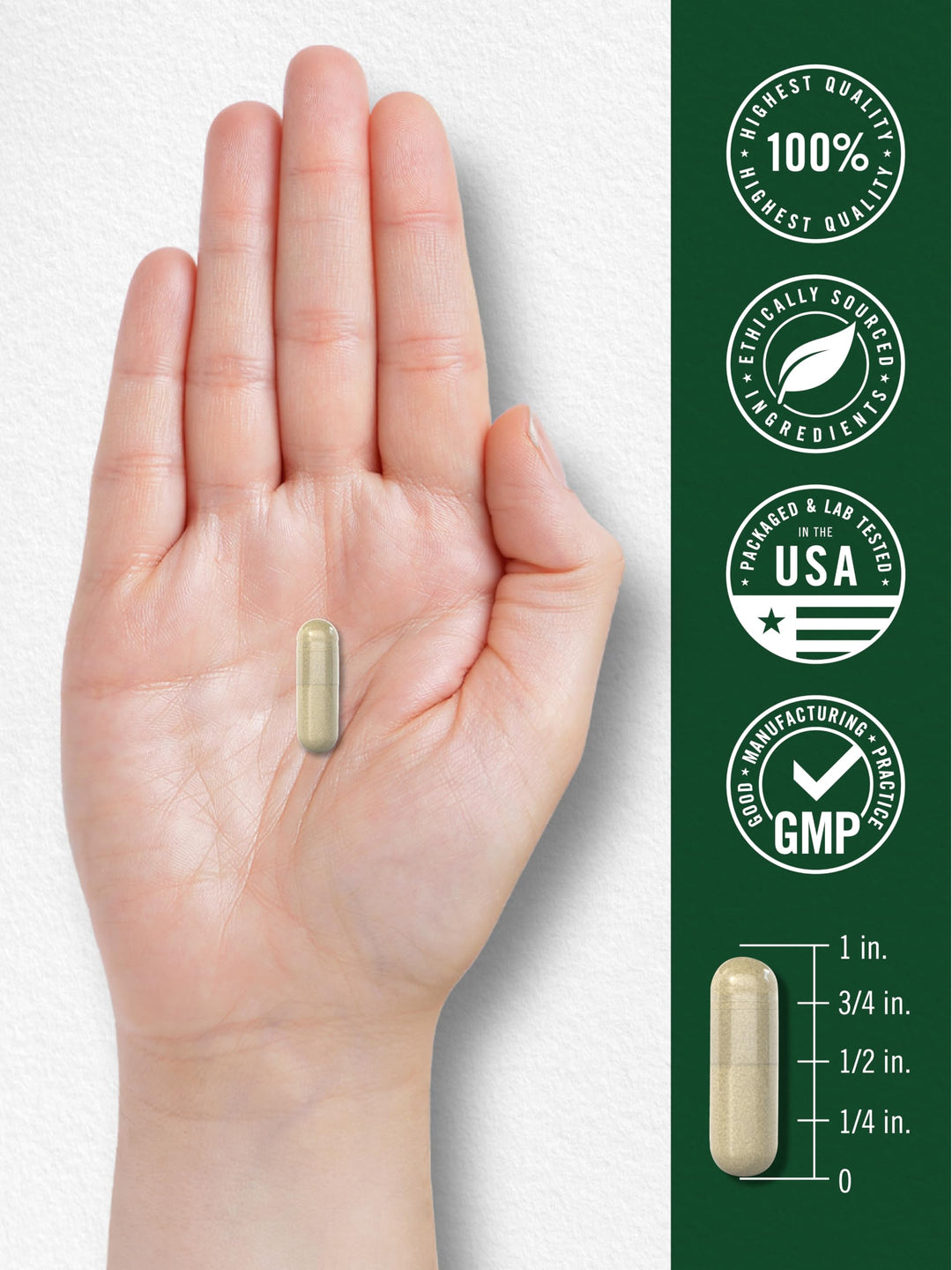 Carlyle Gymnema Sylvestre Capsules, 600 mg, 200 Count