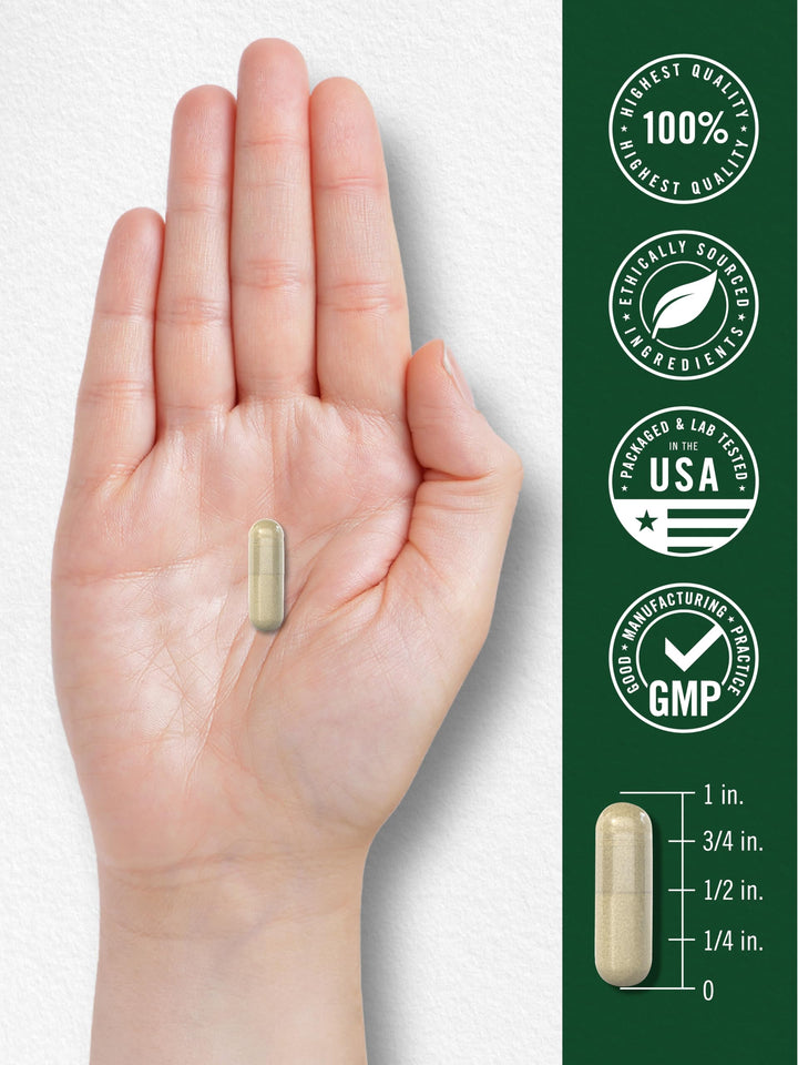 Carlyle Gymnema Sylvestre Capsules, 600 mg, 200 Count