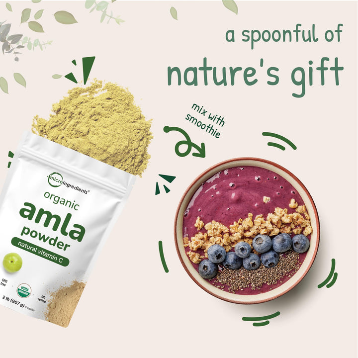 Micro Ingredients Organic Amla Powder, 1 lb