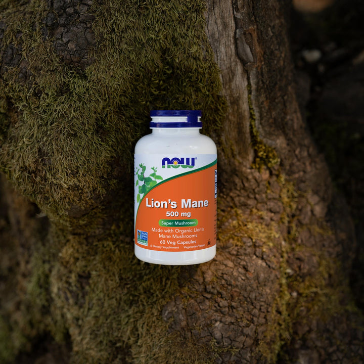 NOW Lion's Mane 500 mg, 60 Count