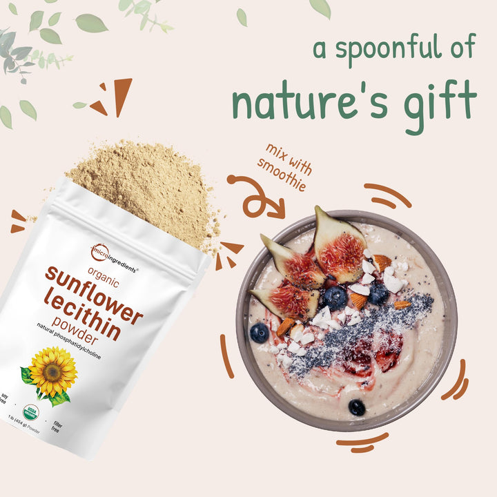Micro Ingredients Organic Sunflower Lecithin Powder, 1 lb