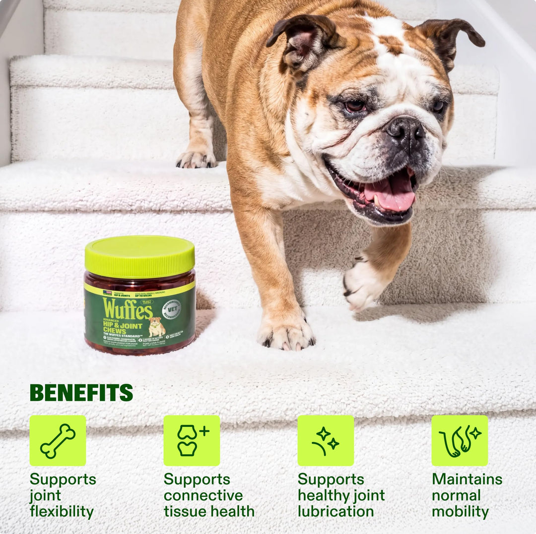 Wuffes Advanced Hip & Joint Chews For Dogs, Small And Medium Breed, 60 Count