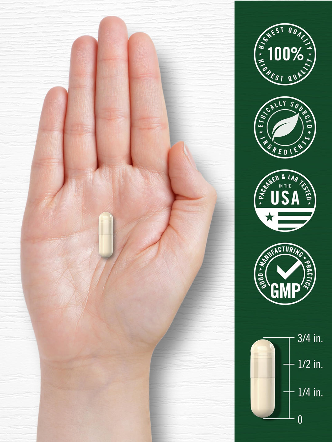 Carlyle White Kidney Bean Extract, 6000 mg, 200 Count