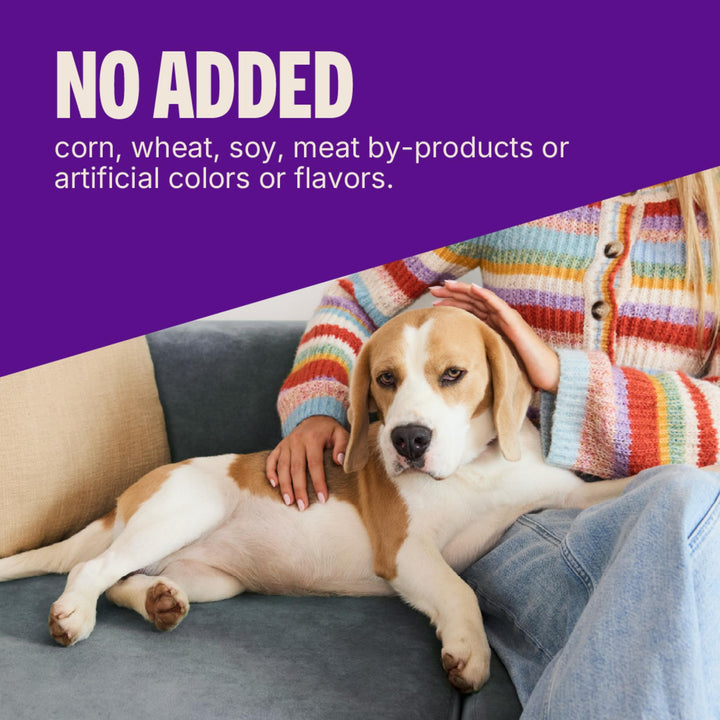 Wellness Natural Pet Food Grain Free Puppy Training Treats