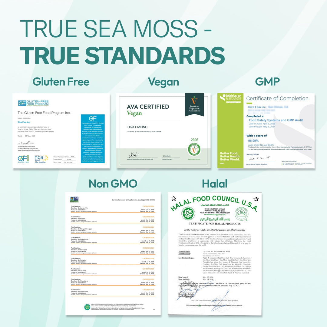 TrueSeaMoss Sea Moss Gel, Mango Pineapple, Pack of 1