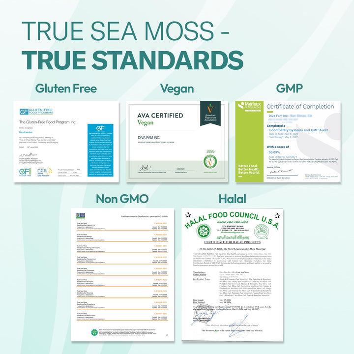 TrueSeaMoss Sea Moss Gel, Mango Pineapple, Pack of 1