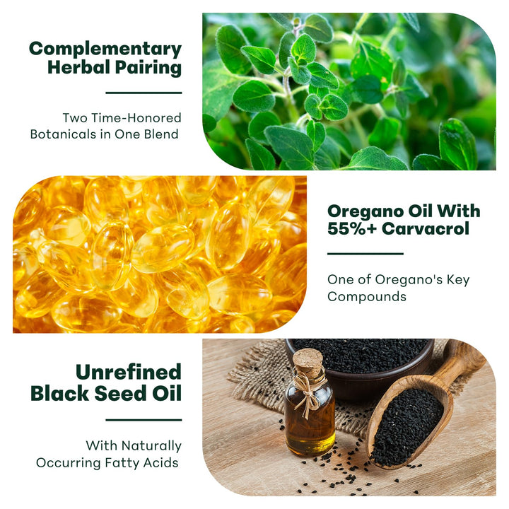 Micro Ingredients Oil of Oregano Softgels, 6000 mg, 300 Count