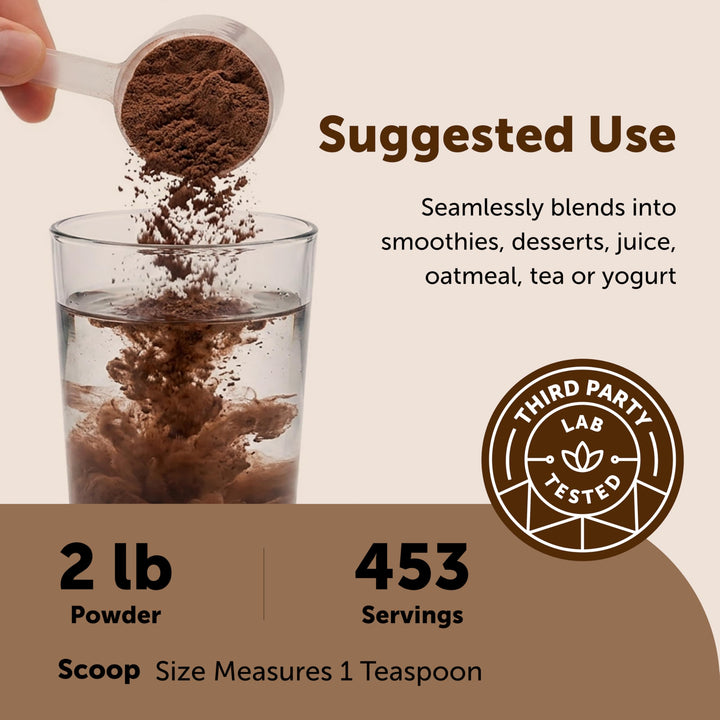 Micro Ingredients Organic Ceylon Cinnamon Powder, 2 lb
