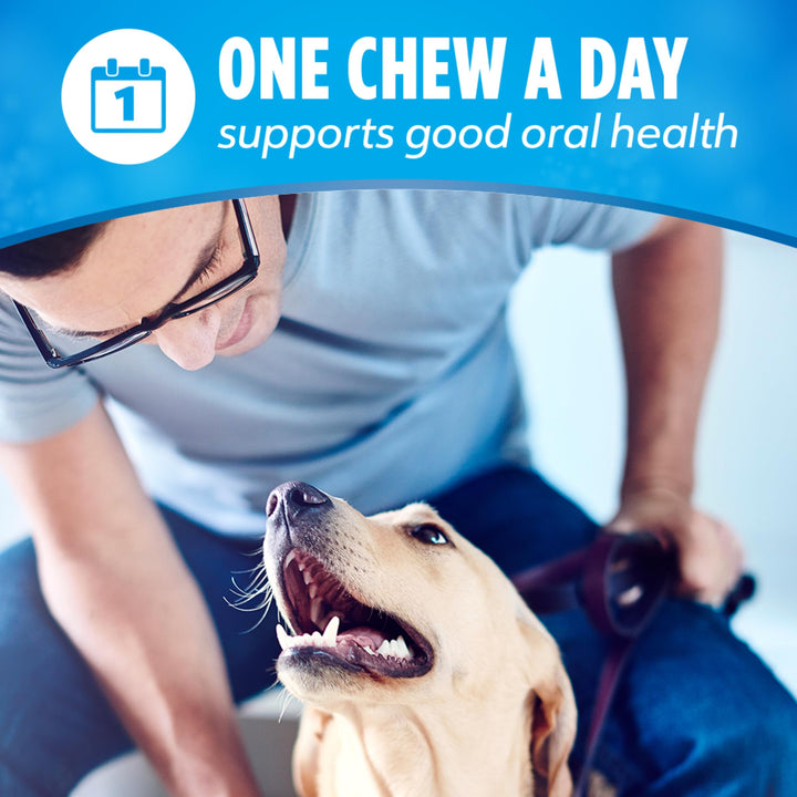 Dentalife Dental Chews, Daily, Small/Medium, 40 Count