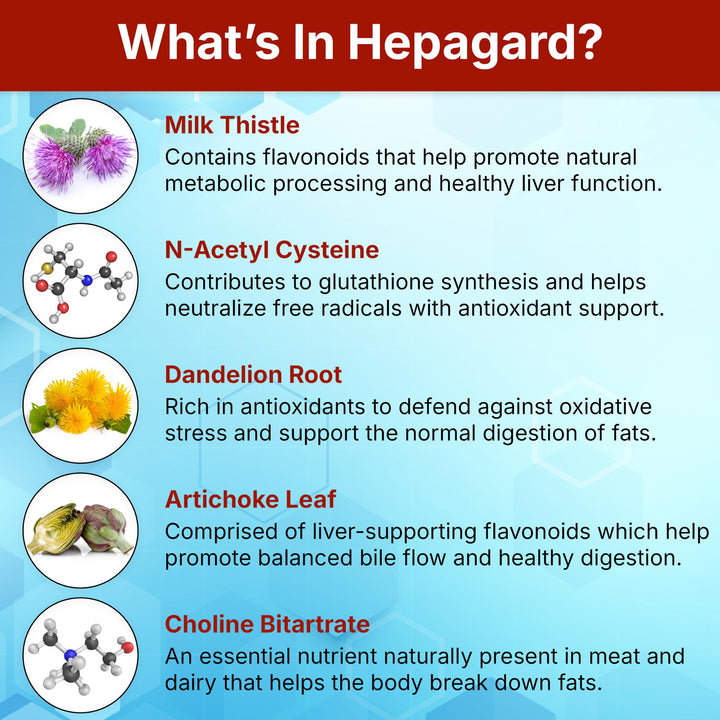 Hepagard Liver Support Supplement, Capsules