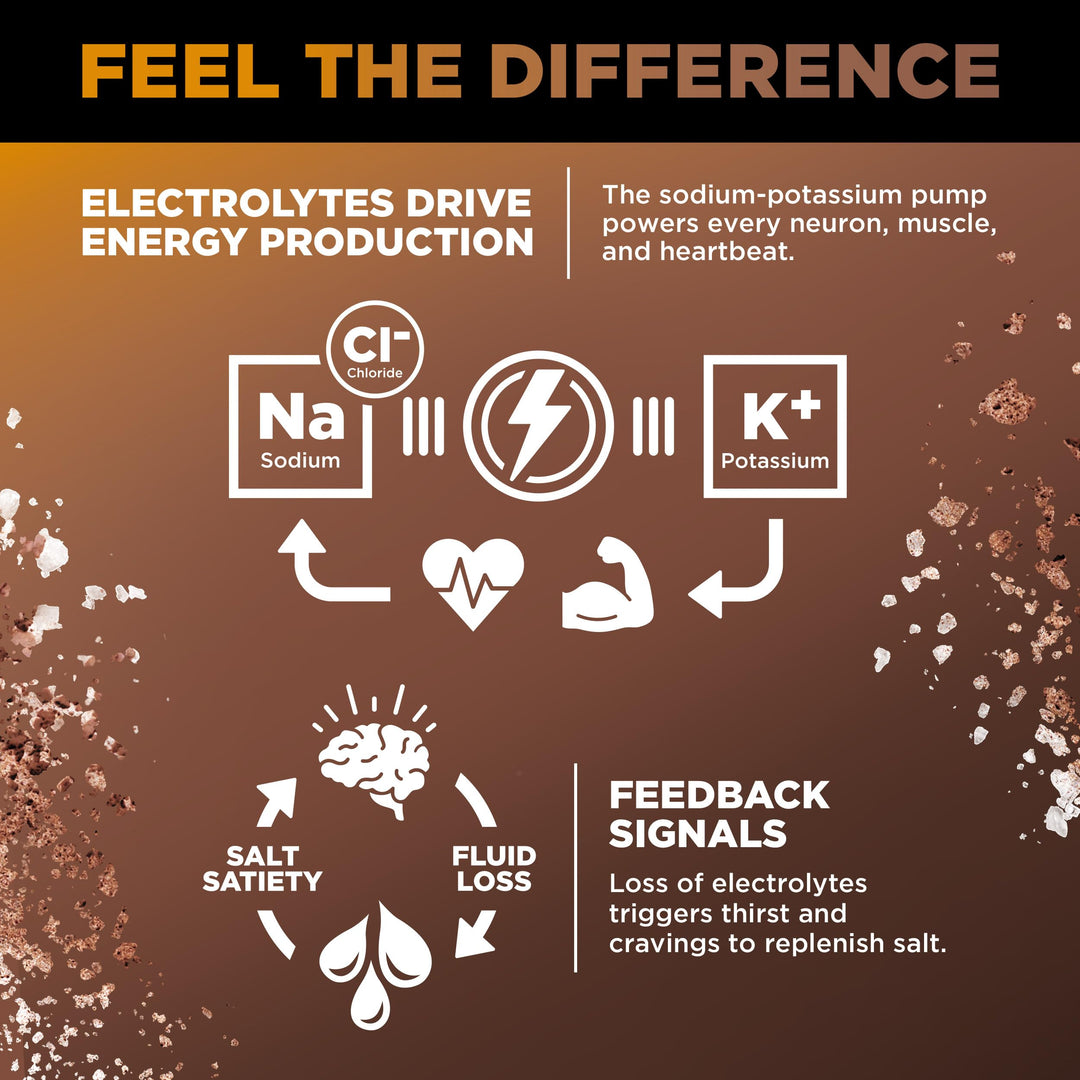 Drink LMNT Electrolyte Drink Mix, Chocolate Caramel, 30 Count
