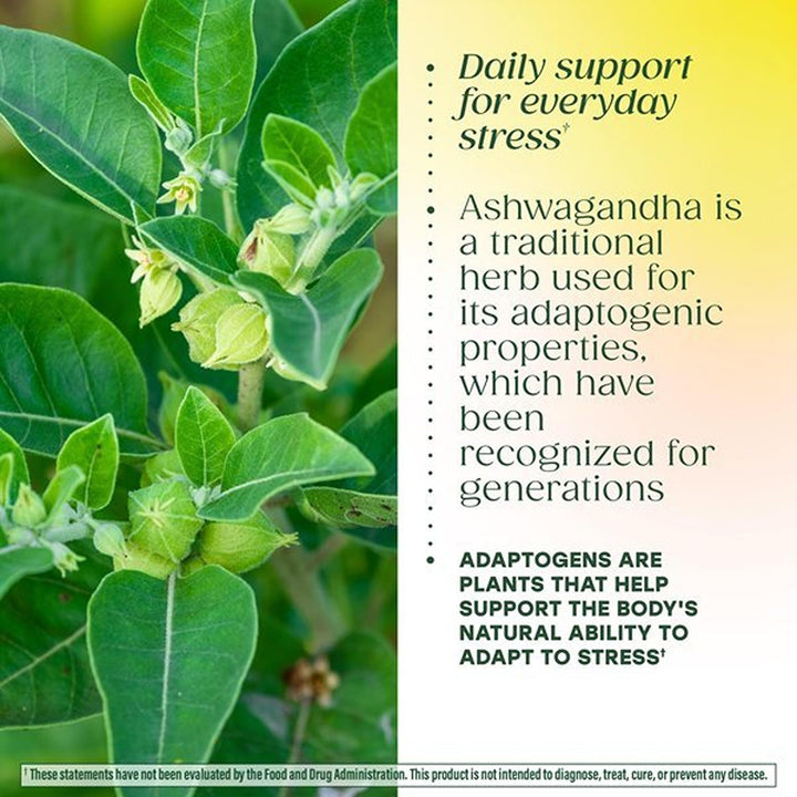 MegaFood Ashwagandha Complex, 60 Count