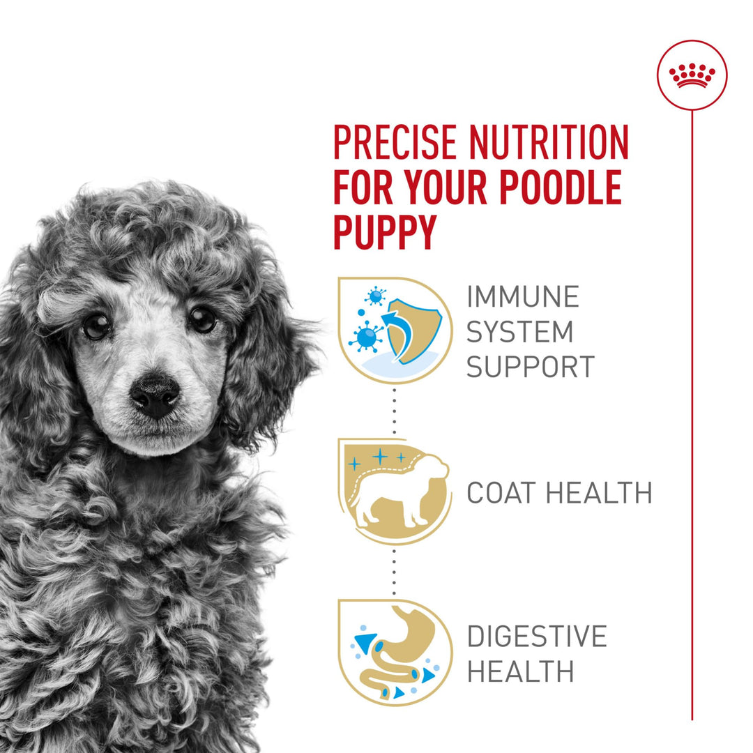 ROYAL CANIN Poodle Puppy Dry Dog Food, 2.5 lb
