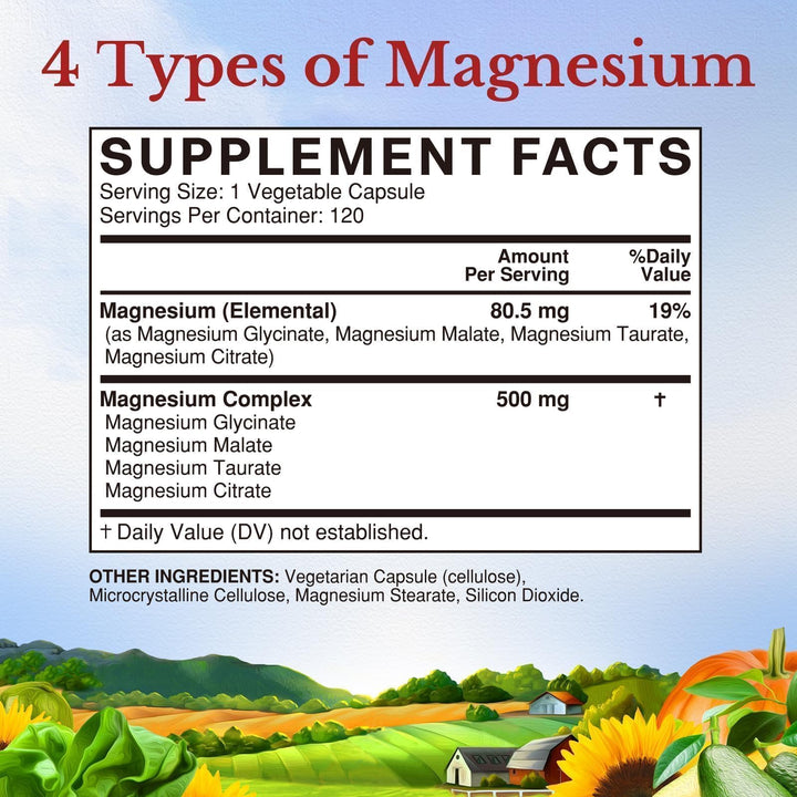 VITALITOWN Magnesium Complex Supplement, 500 mg, 120 Count