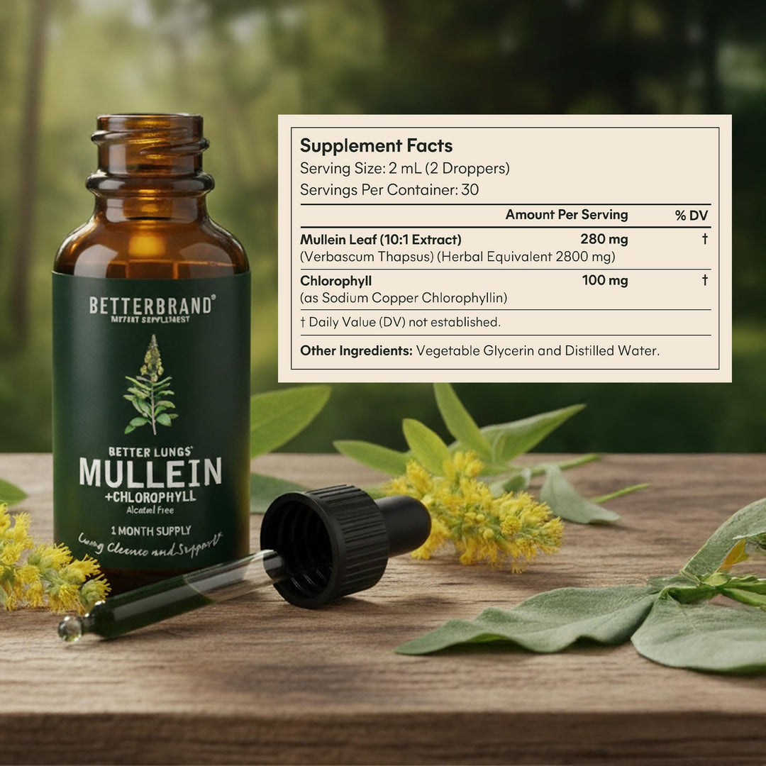 Betterbrand Mullein Drops, Alcohol-Free, Chlorophyll