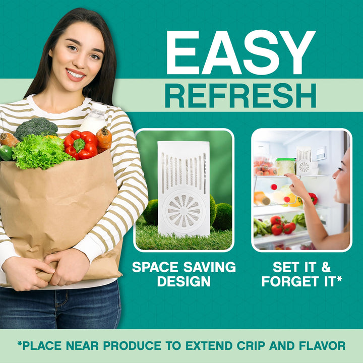 Fresh Nest Refrigerator Deodorizer With Zeolites, 1 Count