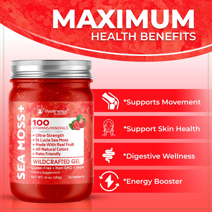 WELLNESS LABSRX Sea Moss Gel, Strawberry, 10 oz
